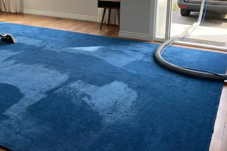 An extraction wand pulling water out of a wet blue area rug